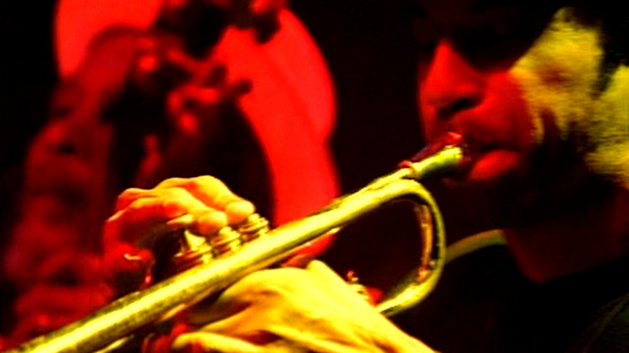 Skatalites - Live at Lokerse Feesten