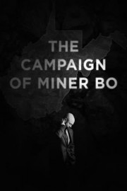 The Campaign of Miner BO