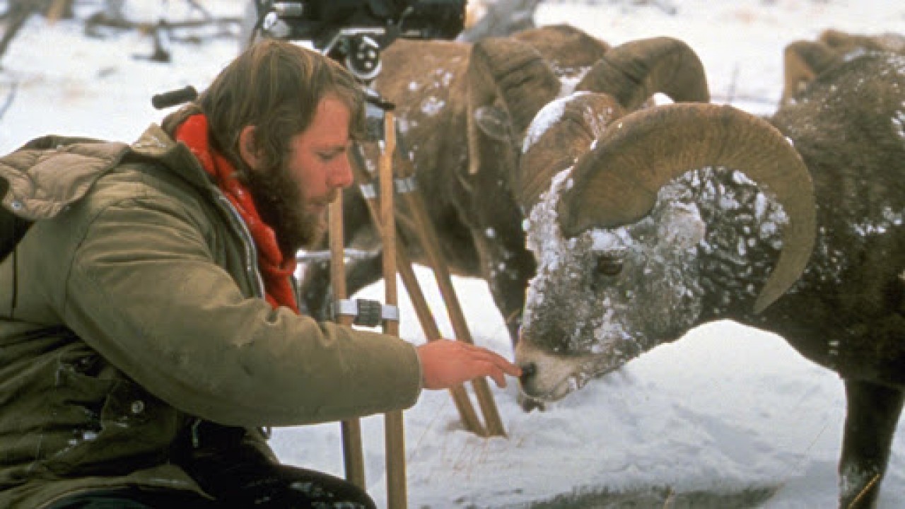 Wild America: Marty's World