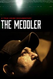 The Meddler