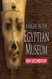 A Night in the Egyptian Museum