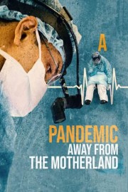 A Pandemic Away From the Motherland