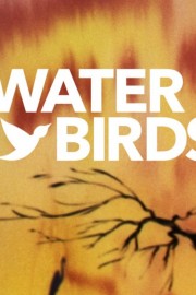 Water Birds
