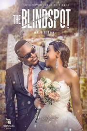 The BlindSpot