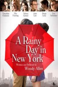 A Rainy Day in New York