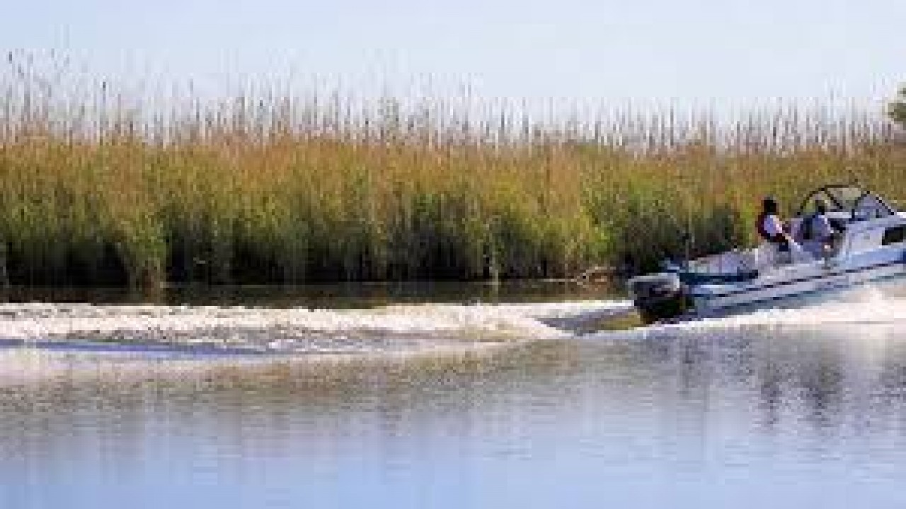 The Flight of the Frigate Bird - An Omen of Rising Seas