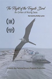 The Flight of the Frigate Bird - An Omen of Rising Seas