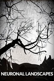 Neuronal Landscapes