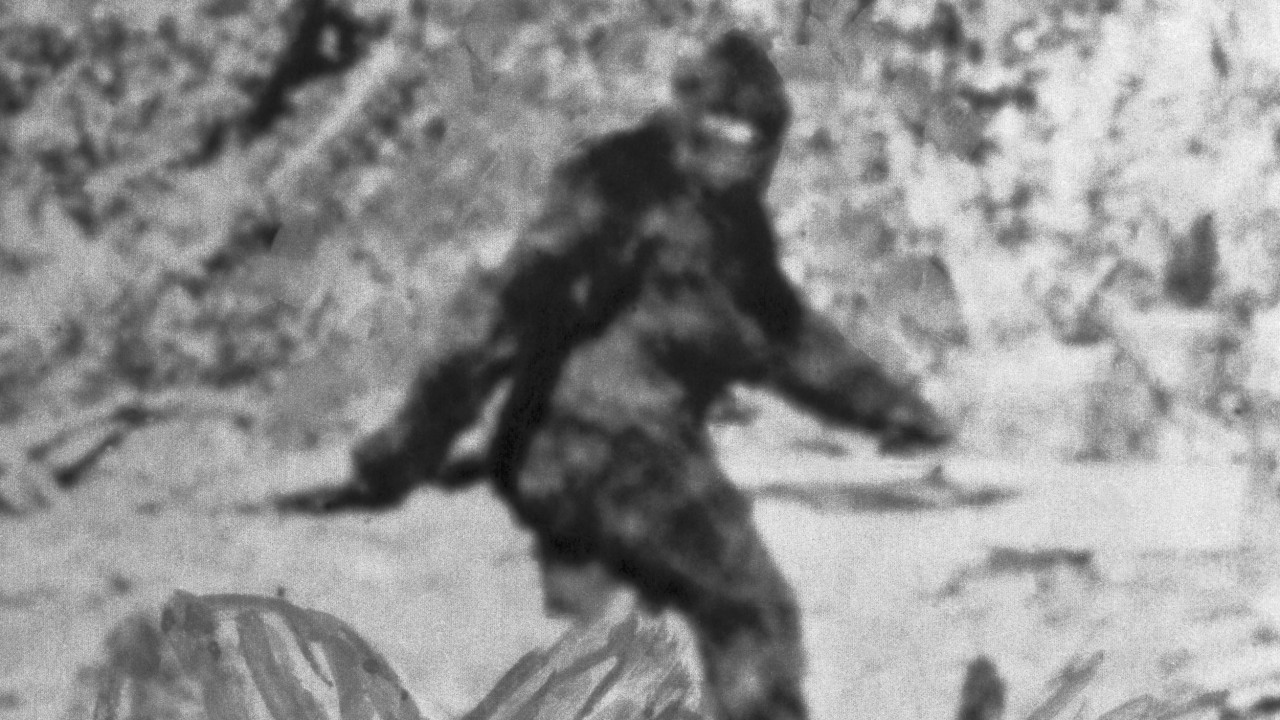 Bigfoot the Legend Is Real