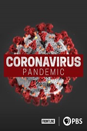 Coronavirus Pandemic