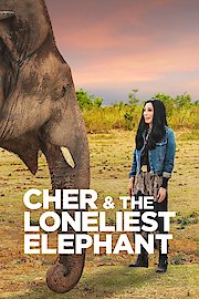 Cher & The Loneliest Elephant