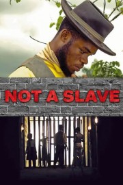 Not a Slave