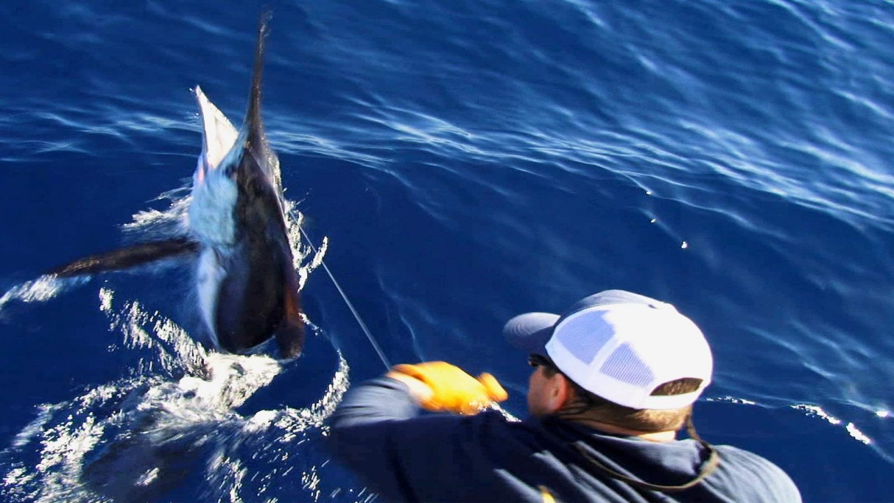 Man vs. Marlin