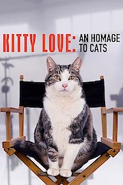 Kitty Love: An Homage to Cats