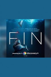 Fin