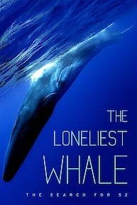 The Loneliest Whale: The Search for 52