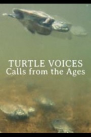 Turtle Voices: Calls From The Ages