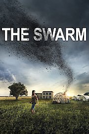 The Swarm