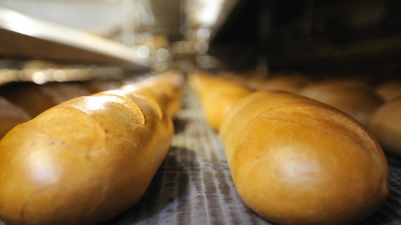 Bread in the Bones