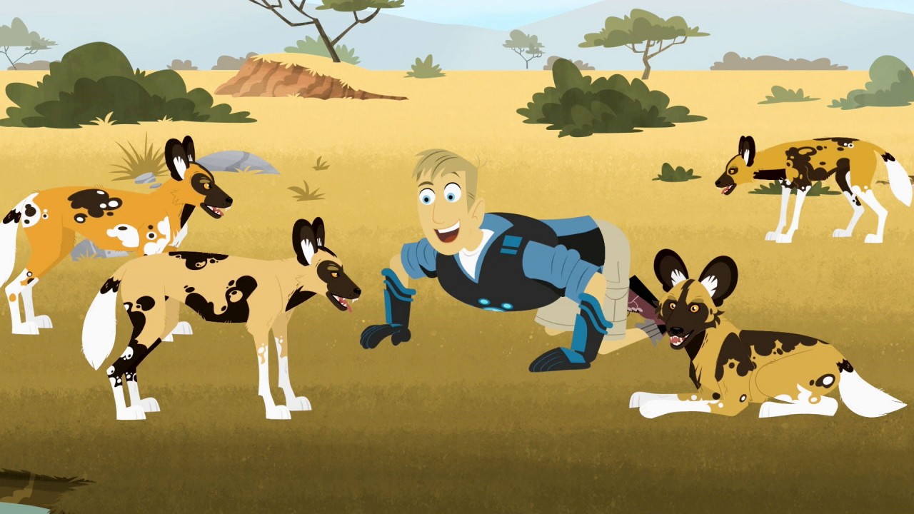 Wild Kratts: Cats & Dogs