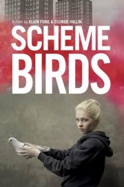 Scheme Birds