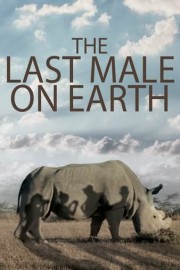 The Last Male on Earth