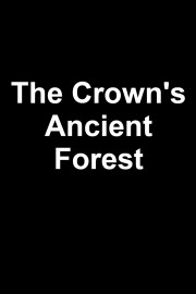 The Crown's Ancient Forest