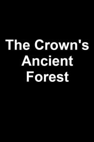 The Crown's Ancient Forest