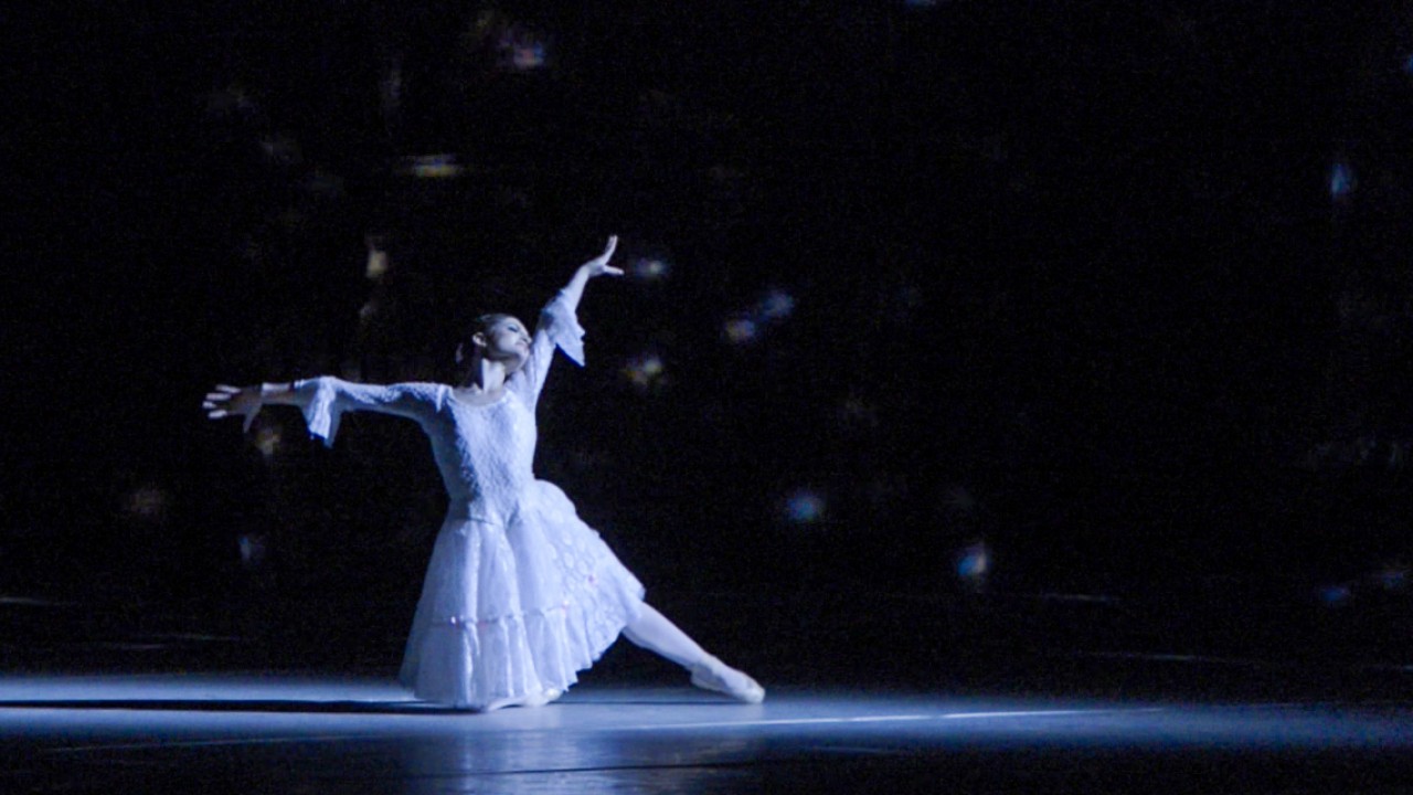 Joy Womack: The White Swan