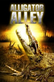 Alligator Alley