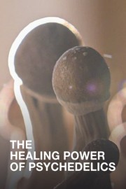 The Healing Power of Psychedelics