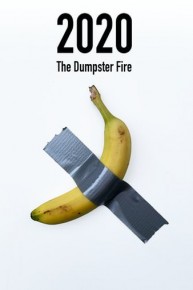 2020: The Dumpster Fire