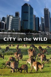 City in the Wild