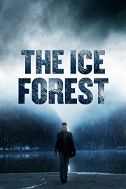The Ice Forest