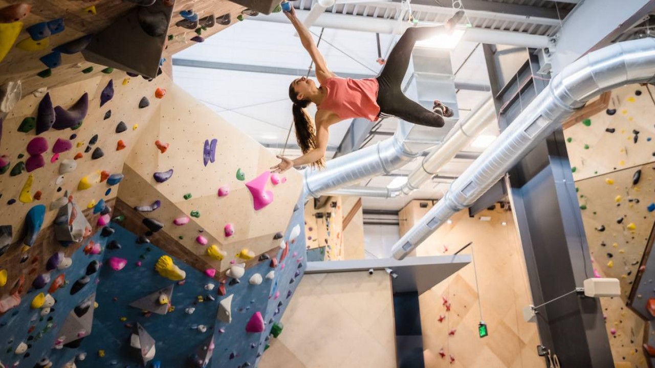 The Wall - Climb For Gold