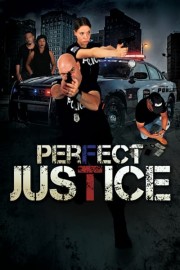 Perfect Justice