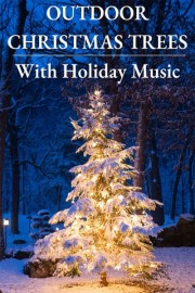 Outdoor Christmas Trees & Holiday Music