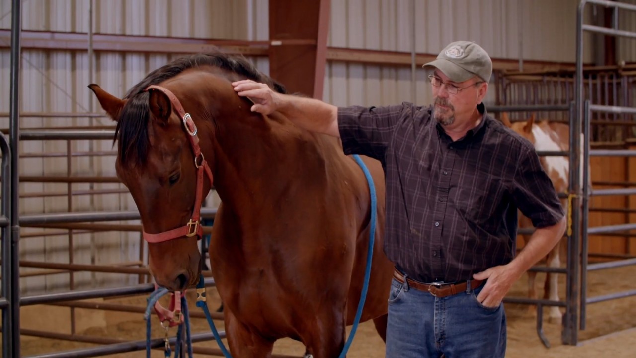 A Mind Like Still Water