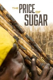 The Price of Sugar