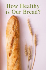 How Healthy is Our Bread?