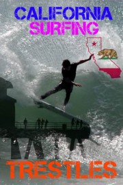 California Surfing Trestles