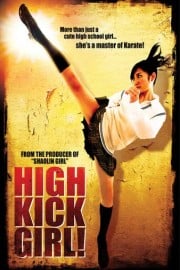 High Kick Girl!