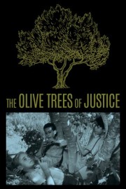 The Olive Trees of Justice