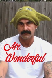 Mr. Wonderful