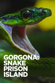 Gorgona: Snake Prison Island