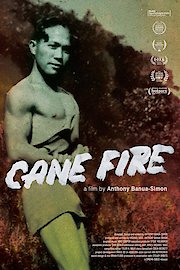 Cane Fire