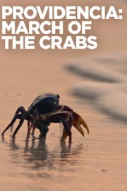 Providencia: March of the Crabs