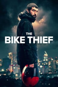 The Bike Thief