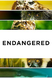 Endangered