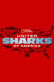 United Sharks of Amierca